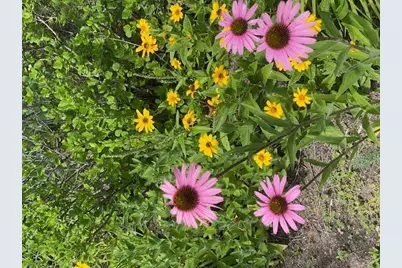 13869 Hardy Lake Road SW, Pillager, MN 56473 - Photo 64