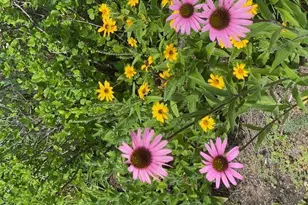 13869 Hardy Lake Rd SW, Pillager, MN 56473 - Photo 64