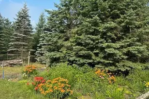 13869 Hardy Lake Rd SW, Pillager, MN 56473 - Photo 60