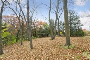 18701 South Ln, Minnetonka, MN 55345 - Photo 28