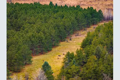 Tbd 141st Avenue, Bagley, MN 56621 - Photo 6