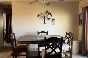 113 E Fairview St, Spring Valley, MN 55975 - Photo 4