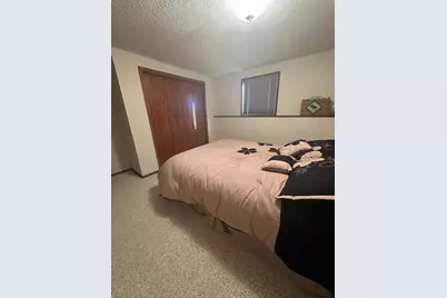 113 E Fairview Street, Spring Valley, MN 55975 - Photo 30