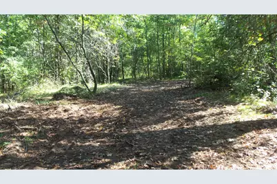 Lot 4 East River Rd, Grantsburg, WI 54840 - Photo 4