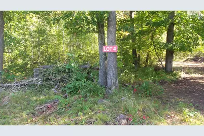 Lot 4 East River Rd, Grantsburg, WI 54840 - Photo 1