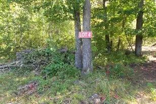 Lot 4 East River Rd, Grantsburg, WI 54840 - Photo 1