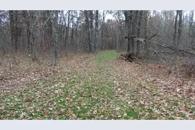 Lot 4 East River Rd, Grantsburg, WI 54840 - Photo 14