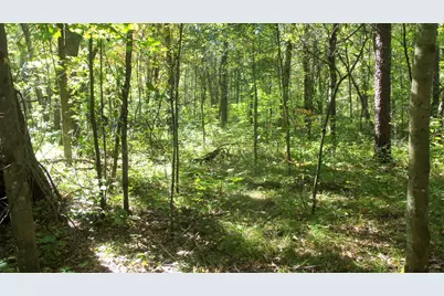 Lot 4 East River Rd, Grantsburg, WI 54840 - Photo 8