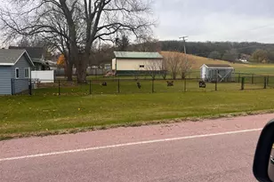 102 Harrison St S, Lake Benton, MN 56149 - Photo 4