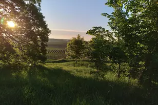 24543 Co Hwy 124, Fergus Falls, MN 56537 - Photo 4