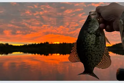 Tbd Wilderness Way, Cook, MN 55723 - Photo 1