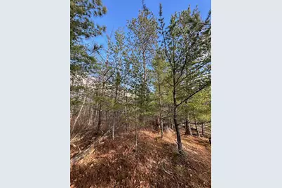 Tbd Wilderness Way, Cook, MN 55723 - Photo 12