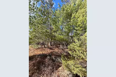 Tbd Wilderness Way, Cook, MN 55723 - Photo 6