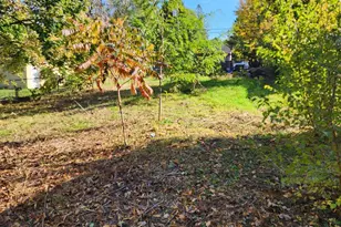 3718 Lyndale Ave N, Minneapolis, MN 55412 - Photo 2