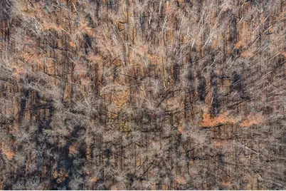 Tbd Gull River Road, East Gull Lake, MN 56401 - Photo 12