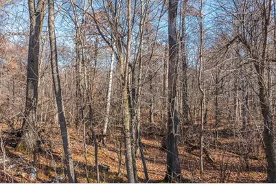 Tbd Gull River Road, East Gull Lake, MN 56401 - Photo 18