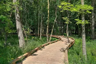 6730 Wildflower Wy, Minnetrista, MN 55331 - Photo 26