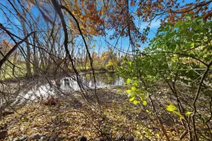 602 Woodland Dr, Mahtomedi, MN 55115 - Photo 76