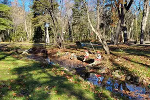 16993 197th St N, Scandia, MN 55047 - Photo 8