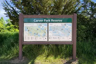 6559 Bellflower Dr, Minnetrista, MN 55331 - Photo 50