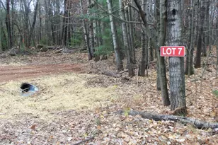 Lot 7 Herman Johnson Rd, Siren, WI 54872 - Photo 1