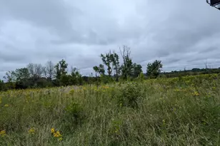 9500 145th Ave NE, Forest Lake, MN 55025 - Photo 2