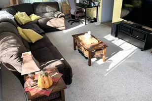 180 Brown Ave S, Annandale, MN 55302 - Photo 24