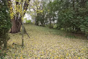 S3575 Co Rd P, Fountain City, WI 54629 - Photo 4