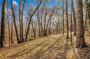 30702 Melanie Way, Saint Joseph, MN 56374 - Photo 64