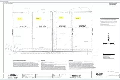 Tbd Parcel A Hay Creek Road SW, Pine River, MN 56474 - Photo 1