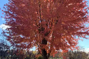 2146 84th Ave, Osceola, WI 54020 - Photo 30