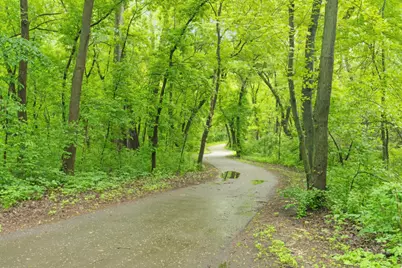 317 Maple Island Road, Burnsville, MN 55306 - Photo 58