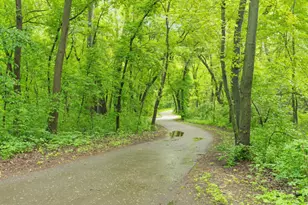 317 Maple Island Rd, Burnsville, MN 55306 - Photo 58