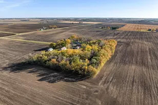 26795 820th Ave, Hollandale, MN 56045 - Photo 62