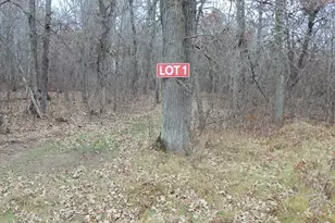 Lot 1 300th St, Saint Croix Falls, WI 54024 - Photo 1