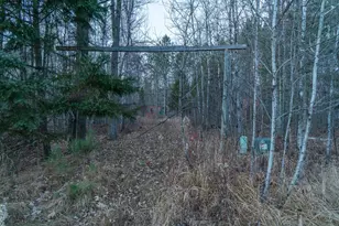 87927 Alder Loop, Sturgeon Lake, MN 55783 - Photo 14