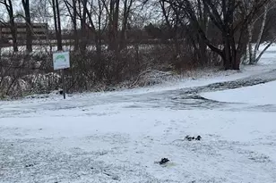 4145 Austin St NE, Circle Pines, MN 55014 - Photo 36