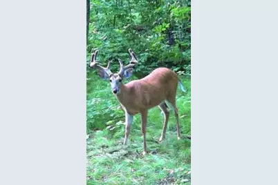 49236 245th Ave, Pelican Rapids, MN 56572 - Photo 74