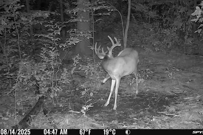 49236 245th Ave, Pelican Rapids, MN 56572 - Photo 72