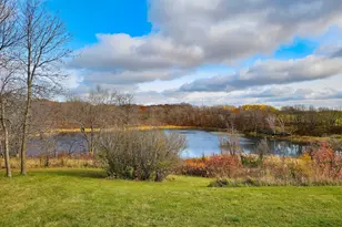 49236 245th Ave, Pelican Rapids, MN 56572 - Photo 42