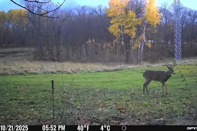 49236 245th Ave, Pelican Rapids, MN 56572 - Photo 70