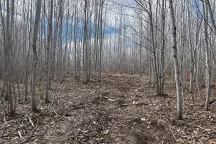 28791 Spotted Fawn Rd, Danbury, WI 54830 - Photo 14