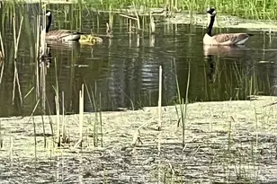 39596 10th Ave, Isle, MN 56342 - Photo 66