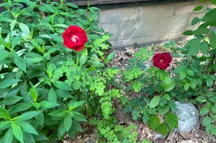 39596 10th Ave, Isle, MN 56342 - Photo 62