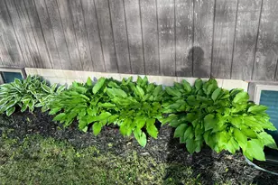 39596 10th Ave, Isle, MN 56342 - Photo 58