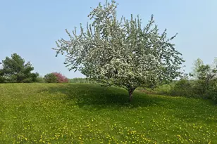 39596 10th Ave, Isle, MN 56342 - Photo 50