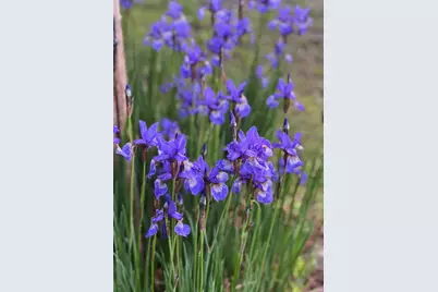 39596 10th Avenue, Isle, MN 56342 - Photo 52