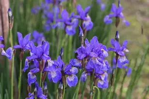 39596 10th Ave, Isle, MN 56342 - Photo 52