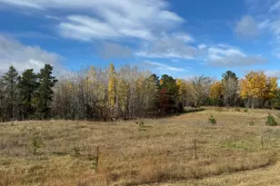 20853 185th Ave, Park Rapids, MN 56470 - Photo 66