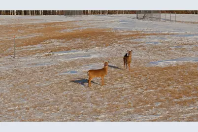 20853 185th Avenue, Park Rapids, MN 56470 - Photo 68